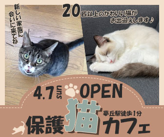 保護猫カフェバナー